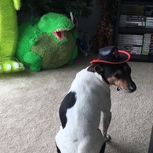 Meet your Posher, Julio